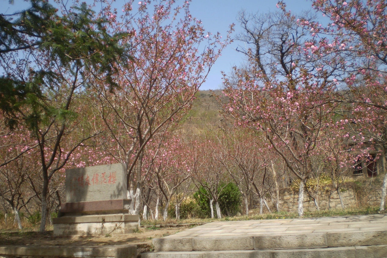 连云港的花果山风景区