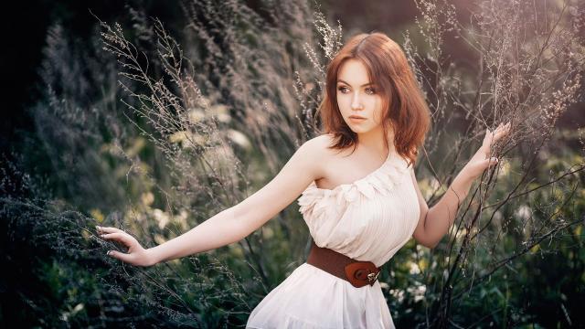 不乱于心，不困于情