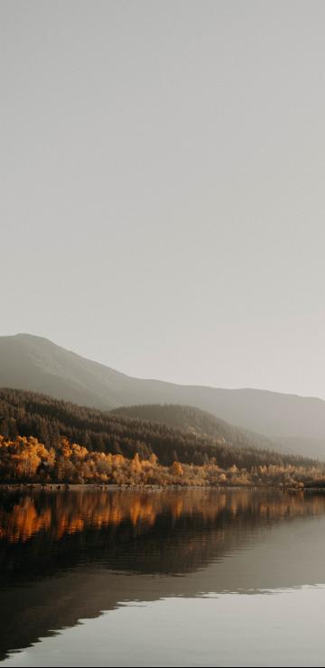 唯美的枫叶倒影