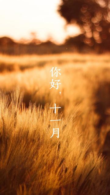 迟来十一月秋风吹