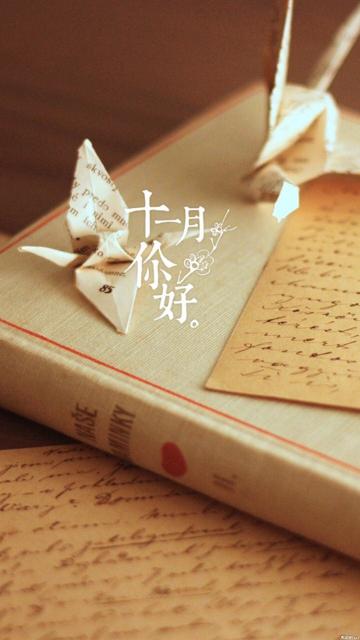 11月里,没有繁花似锦