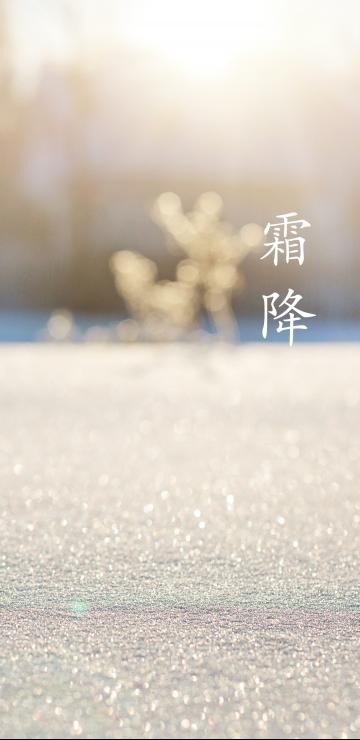 霜降时节霜满天