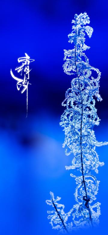 不知不觉到霜降