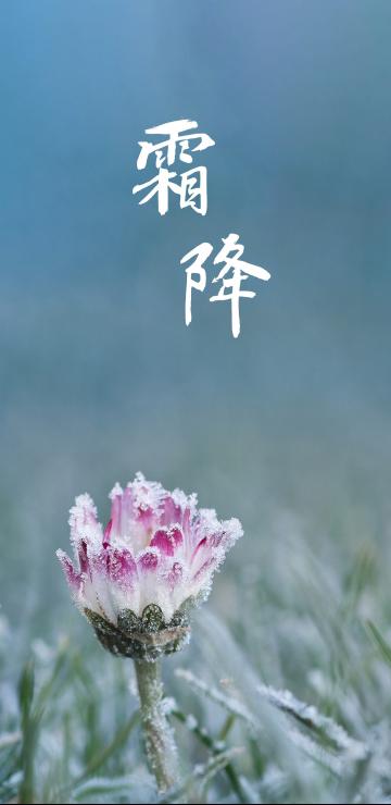 霜降节时清池浅