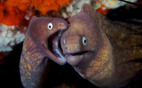 嗨，这人可信吗