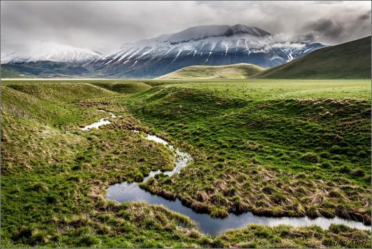 蜿蜿蜒蜒的草原
