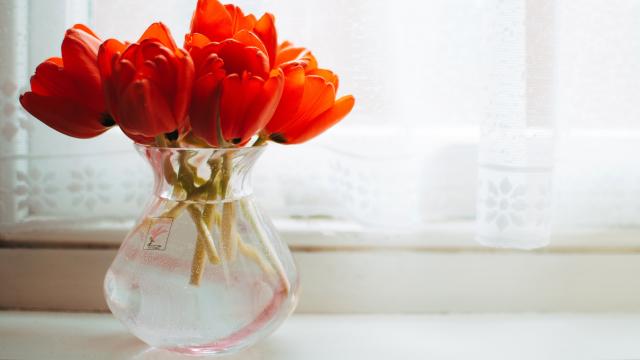 插花是一种生活的艺术