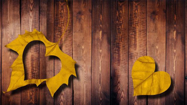 美丽的爱心叶子