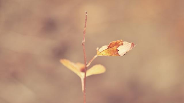非主流桌面壁纸背景