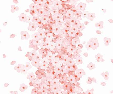 胶面纸基材质AD系列二